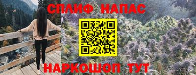 прущие грибы Обнинск
