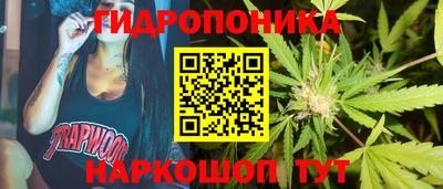 прущие грибы Обнинск