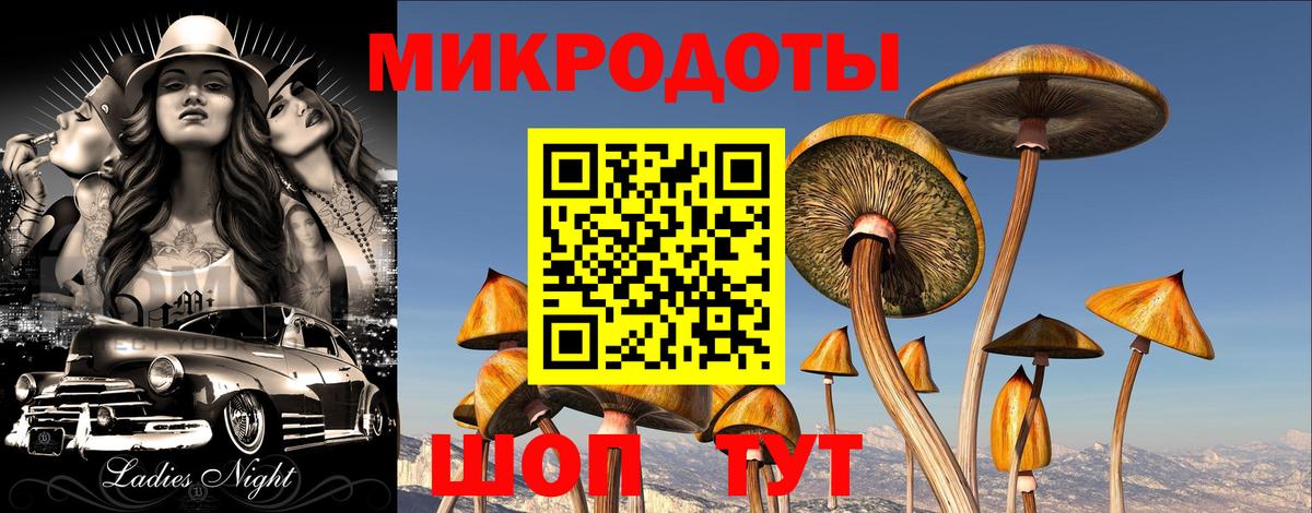 Галлюциногенные грибы MAGIC MUSHROOMS  Вход с VPN  Советская Гавань 