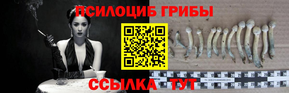 Псилоцибиновые грибы GOLDEN TEACHER Советская Гавань